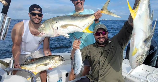 Jack Crevalle, Little Tunny / False Albacore fishing in South Padre Island, Texas