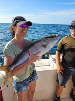 Yellowtail Amberjack Fishing in Clearwater, Florida