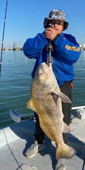 Black Drum fishing in Aransas Pass, Texas