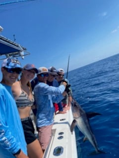 Swordfish fishing in Destin, Florida