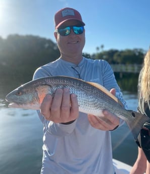 Redfish fishing in Sarasota, Florida