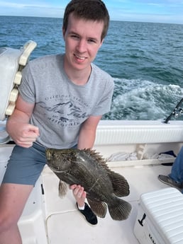 Tripletail fishing in Port Orange, Florida