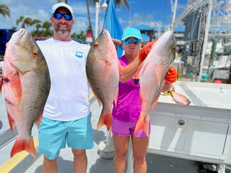 Mutton Snapper fishing in Islamorada, Florida