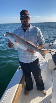 Redfish Fishing in Pensacola, Florida