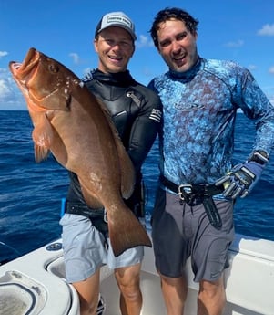 Red Grouper fishing in Islamorada, Florida