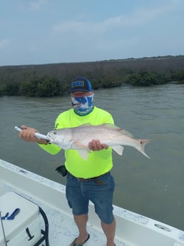 Speckled Trout / Spotted Seatrout fishing in South Padre Islands, Texas