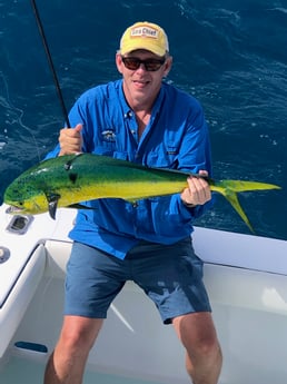 Mahi Mahi / Dorado fishing in Key West, Florida