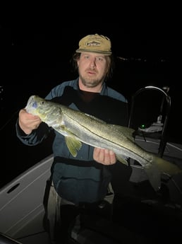 Snook Fishing in Jupiter, Florida