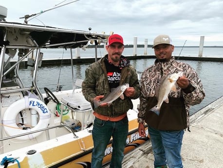 Redfish Fishing in Jacksonville, Florida