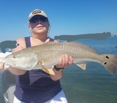 Redfish Fishing in Clearwater, Florida