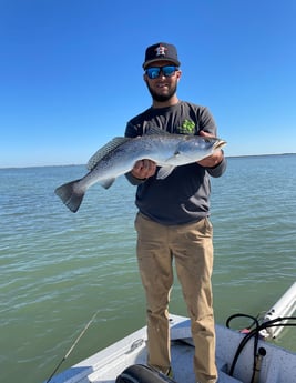 Speckled Trout / Spotted Seatrout fishing in Aransas Pass, Texas