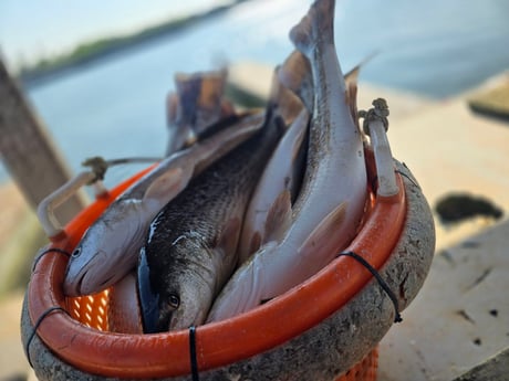 Fishing in Aransas Pass, Texas