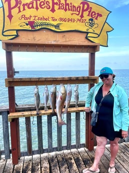 Redfish, Speckled Trout / Spotted Seatrout fishing in South Padre Island, Texas