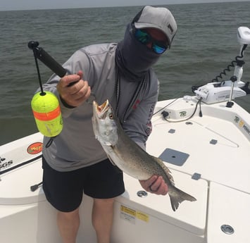 Speckled Trout / Spotted Seatrout fishing in Texas City, Texas