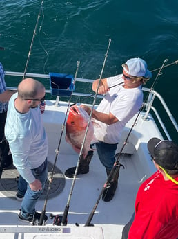 Red Snapper Fishing in Orange Beach, Alabama