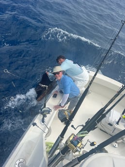 Fishing in Key Biscayne, Florida