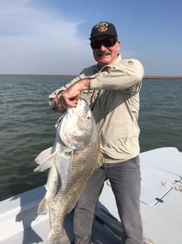 Black Drum Fishing in Galveston, Texas