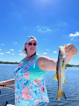 Snook Fishing in Hudson, Florida