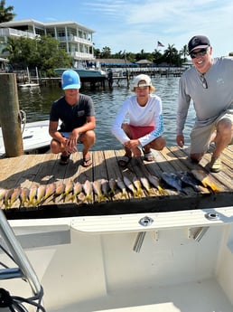 Triggerfish, Yellowtail Snapper Fishing in Key Largo, Florida