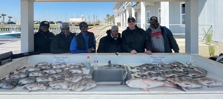 Redfish, Sheepshead fishing in Galveston, Texas