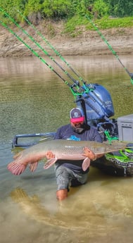 Alligator Gar fishing in Dallas, Texas