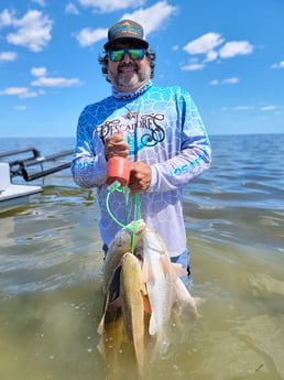 Redfish Fishing in Rio Hondo, Texas