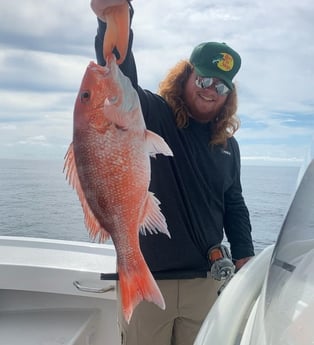 Amberjack fishing in Panama City, Florida