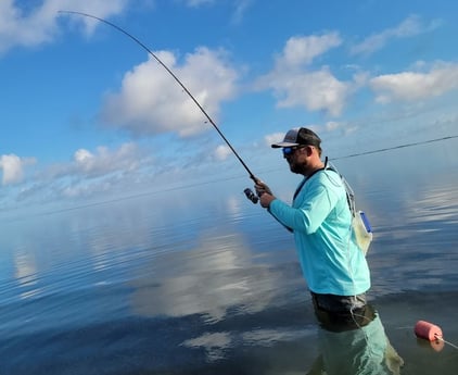 Fishing in Rio Hondo, Texas