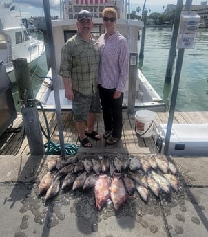 Hogfish, Scup / Porgy Fishing in Clearwater, Florida