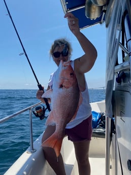 Red Snapper Fishing in Destin, Florida