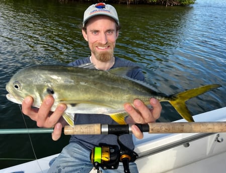 Jack Crevalle Fishing in Tampa, Florida