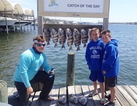 Sheepshead Fishing in Destin, Florida