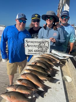 Fishing in Marathon, Florida