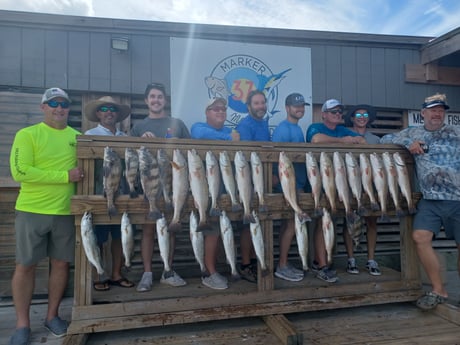 Black Drum, Redfish, Sheepshead, Speckled Trout / Spotted Seatrout Fishing in Corpus Christi, Texas