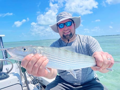 Speckled Trout / Spotted Seatrout fishing in Tavernier, Florida