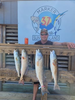 Redfish, Speckled Trout / Spotted Seatrout Fishing in Corpus Christi, Texas