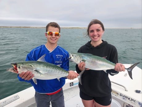 Little Tunny / False Albacore Fishing in Beaufort, North Carolina