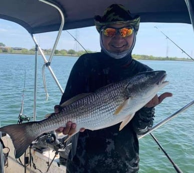 Redfish fishing in San Antonio, Texas