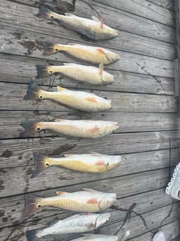 Fishing in Galveston, Texas