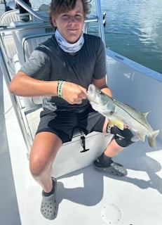 Snook Fishing in Tampa, Florida