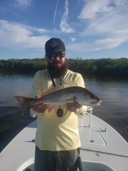 Redfish fishing in New Smyrna Beach, Florida