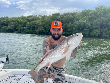 Redfish Fishing in Clearwater, Florida