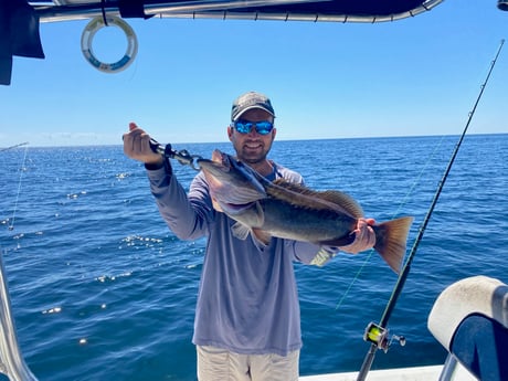 Snowy Grouper Fishing in Carrabelle, Florida