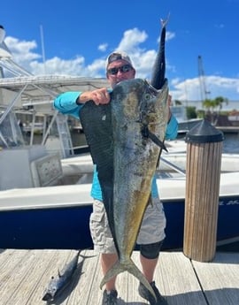 Mahi Mahi Fishing in Pompano Beach, Florida