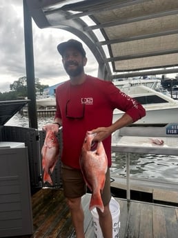 Red Snapper Fishing in Destin, Florida