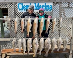 Black Drum, Redfish, Speckled Trout / Spotted Seatrout Fishing in Corpus Christi, Texas