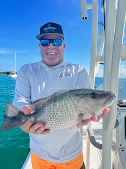 Mangrove Snapper Fishing in Key West, Florida