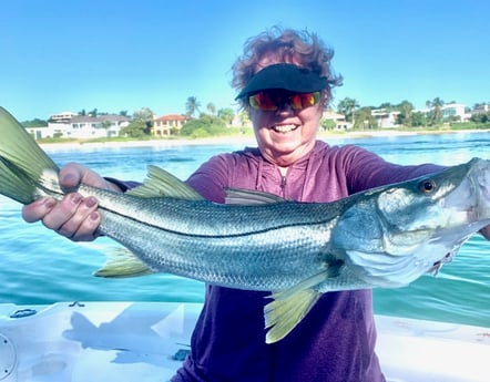 Snook fishing in Sarasota, Florida