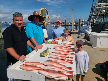 Mahi Mahi / Dorado, Red Snapper fishing in Orange Beach, Alabama