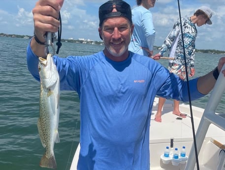 Speckled Trout / Spotted Seatrout fishing in Sarasota, Florida